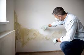 Why You Should Choose Our Mold Remediation Services in National Park, NJ